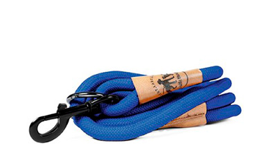 walk-buddy-blau